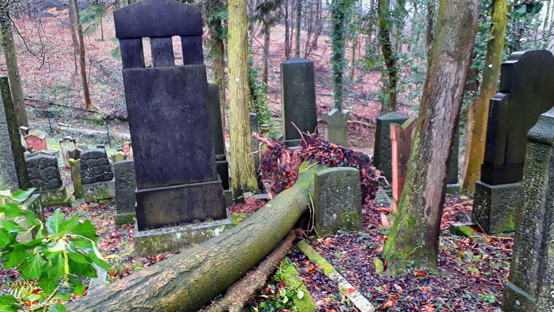 Friedhof Hemsbach